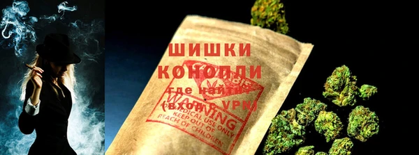 сатива Арсеньев