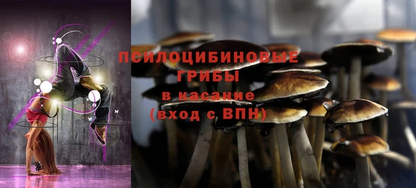 сатива Арсеньев