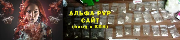сатива Арсеньев