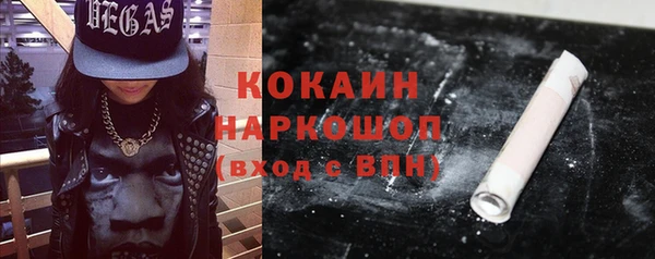 сатива Арсеньев