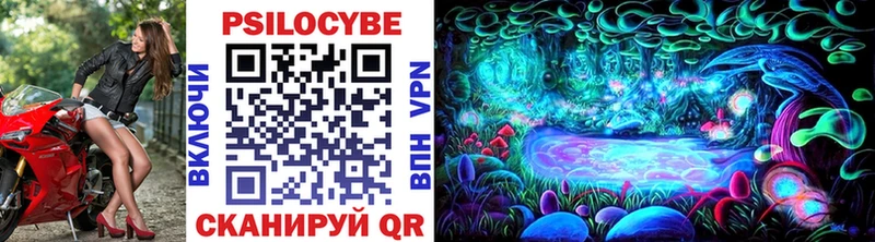 наркота Белая Холуница Псилоцибиновые грибы мицелий